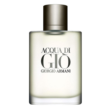 Giorgio Armani Acqua Di Gio Pour Homme EdT 100ml